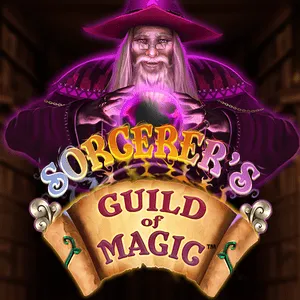 Sorcerer s Guild of Magic